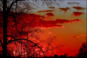 0_STATIC6a179_58a9cae1_L