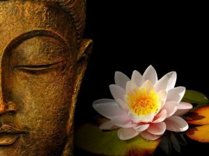 budda