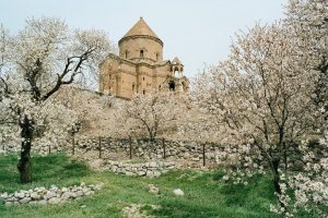 179954_368694026568309_1896396002_n