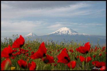 10399572_983505315077542_8275796266586649184_n