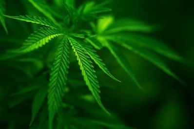 14641959_1118980044857431_3021163049168079698_n