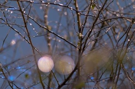 15055727_10209635998950400_8151808576223807966_n