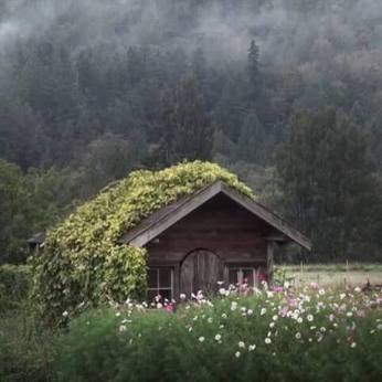 16105845_218945118566440_2353794768924241692_n