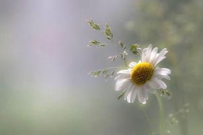 13344778_1743700089208215_3388040496955637578_n