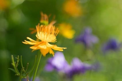 13716057_10208511307193809_3259308345519337141_n