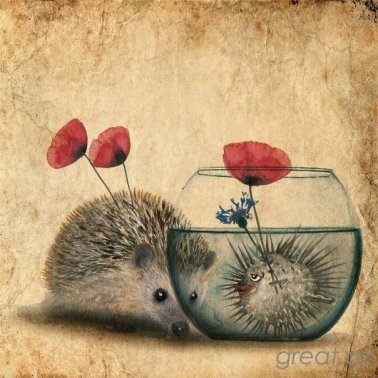 16806778_1290445874381656_696118557264661578_n