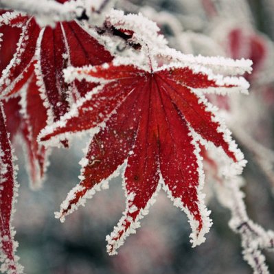 tumblr_meauzpypch1rb717ao1_500_large