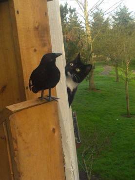 18342451_1453606234661112_8875628545642068155_n