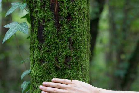 21433024_10212406147802390_8769428740147258316_n