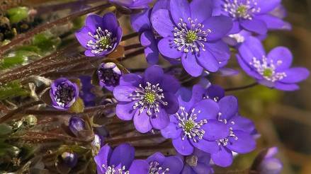 24129690_1646228742065526_9016023244259504955_n