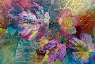 24174667_934655793354330_281003113230576951_n