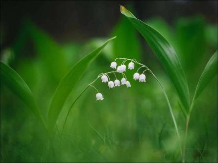 31675791_1695498030542798_4532733021899456512_n