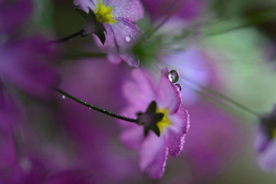 16462978_1354948711193532_5796329926681808079_o