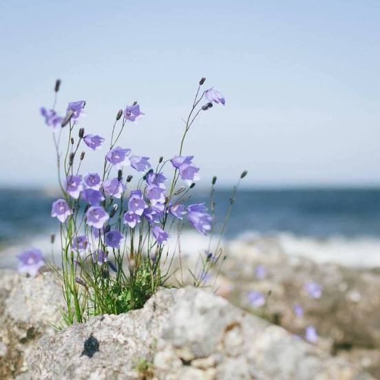 37113458_1897531293601935_7818565062708166656_n