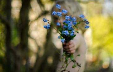 29216743_1006794306152359_5369502159941402624_n