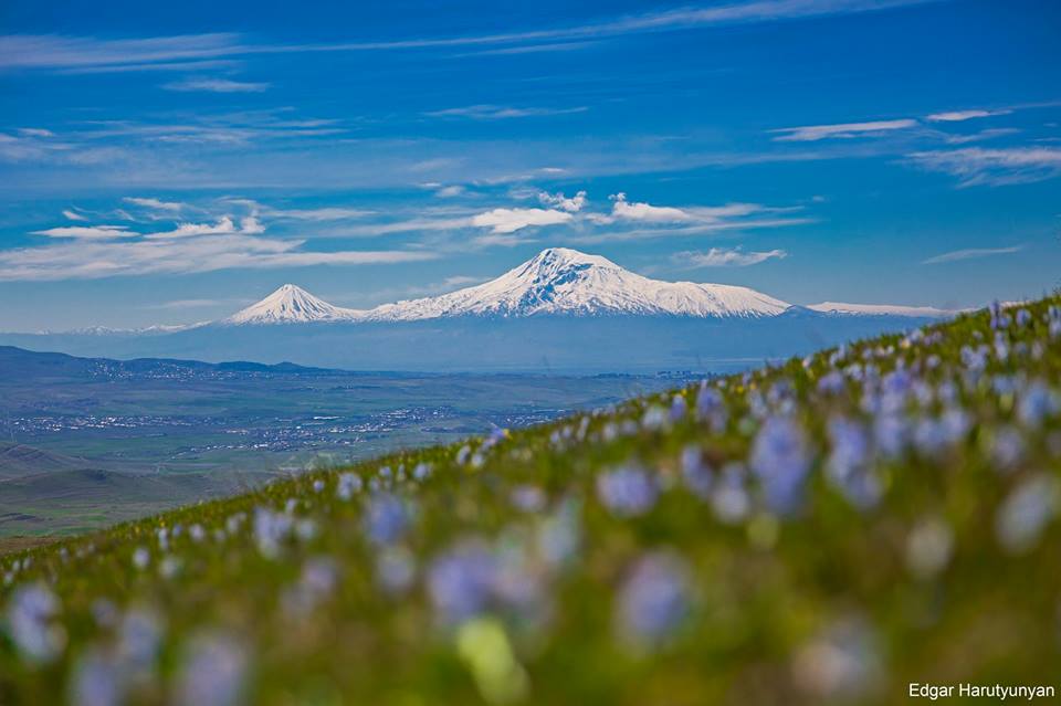 42310957_1423304524469695_6978806782047027200_n