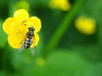 44022958_2481480861876906_3785703561900326912_n