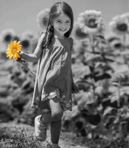 49213161_672705023147894_474311608072404992_n