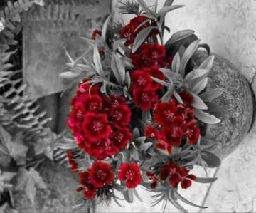 53192360_712375379180858_5550989894274252800_n