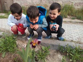 13006492_1769545413261021_3870262488775677043_n