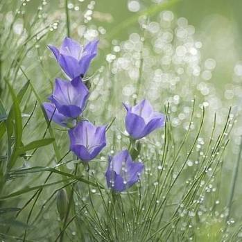 65675905_2314327891993139_2104329328438280192_n