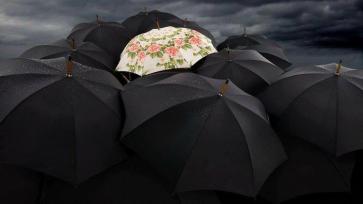 66295404_2292433287512132_439177139208585216_n