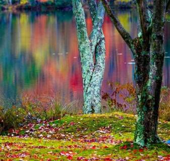 75446483_10220668189045611_7985898375834763264_n