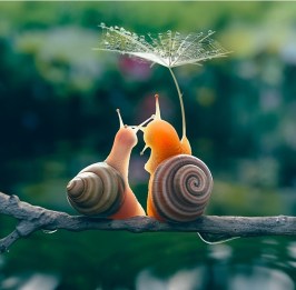 82289952_3022357697783470_4319612471179476992_n