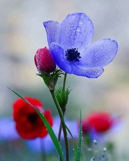 84349280_2468444586742841_7073364017531584512_n