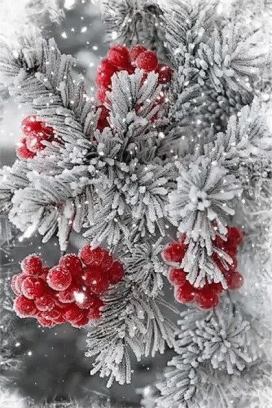 85022499_964643480620712_4617868026849525760_n