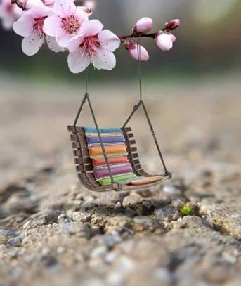 57417823_2411204942263564_5770643378014257152_n