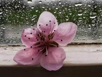 59491912_2415502278500497_3479961453031587840_n