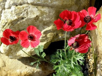 95476648_129083708742391_4485970538967072768_n