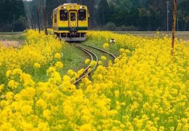 101407357_1748165855321770_6363514800923738112_n