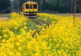 101407357_1748165855321770_6363514800923738112_n