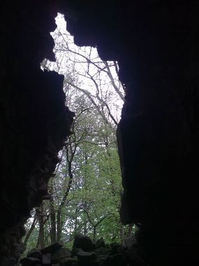 1522836_842301512513390_2353082863285883973_o