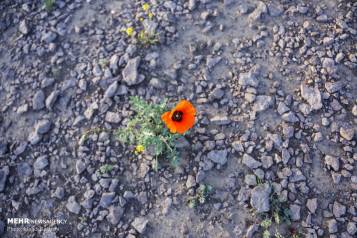 69846233_2145176788921875_8238203644067971072_o