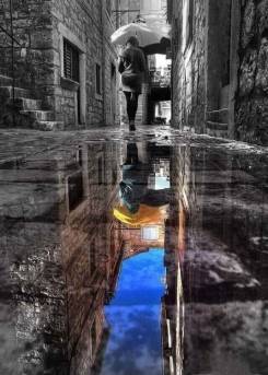 126483648_2579941382296578_4474724871196083491_n