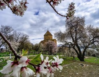 160792398_4461270153889201_2239074608051614046_o