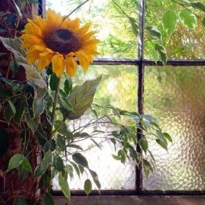 239688788_1380769915674731_1099571829160137656_n