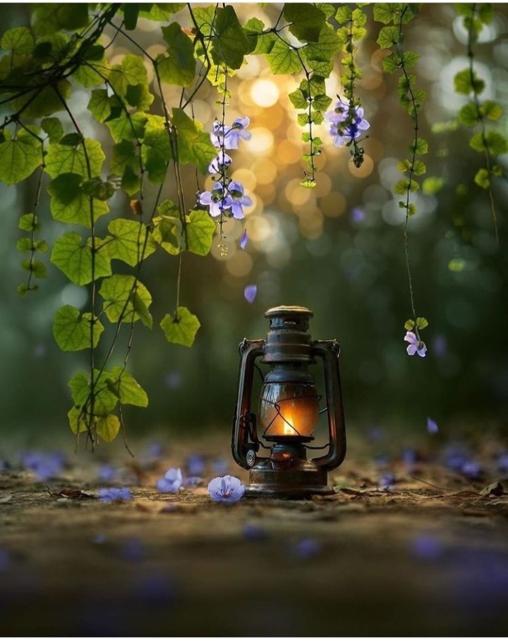 302740932_567332641847893_4897990444804964517_n