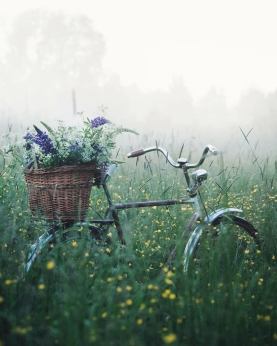 278788229_5430260276993188_5495701923066775838_n