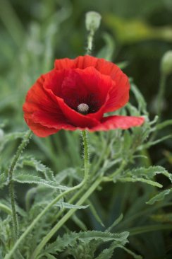 294581309_1610723642679356_5579313434379347089_n